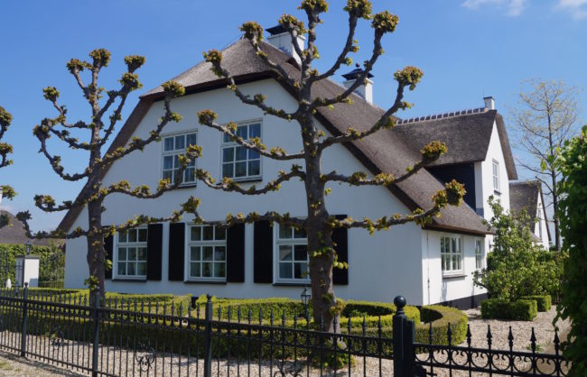 interieuradvies leerdam interieuradvies l buro binnenkans l leerdam interieuradvies leerdam interieuradvies l buro binnenkans l leerdam